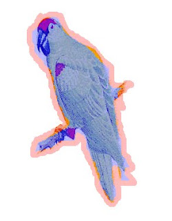  fill color in image for removing its bakground