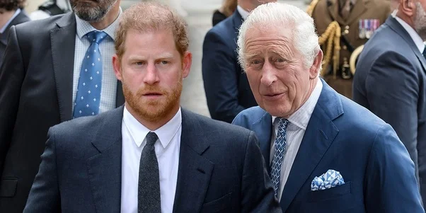 Prince Harry Hurt by King Charles' 'Busy' Excuse for Meeting Snub