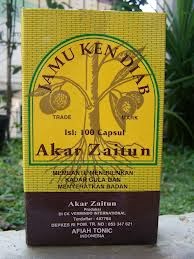 jamu kencing manis akar zaitun