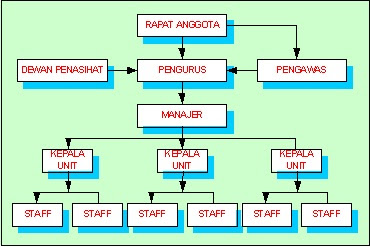 struktur-umum-organisasi-koperasi