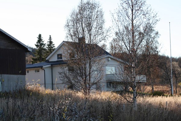 IMG 0741