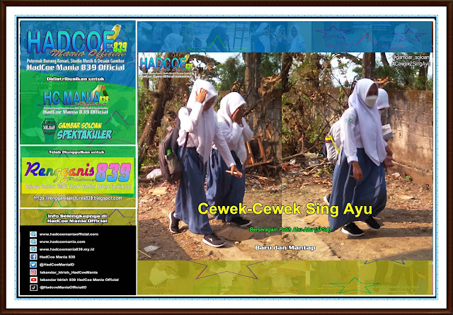 Rengganis Picture 839 - Gambar SMA Soloan Spektakuler Cover Putih Abu-Abu (SPSA) – 32 A