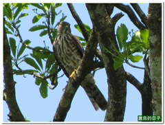 20110424_100528_011_TianLiaoyang