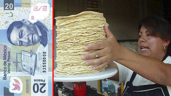 Anuncian nuevo Tortillazo: En algunos Estados se venderá hasta en $20 pesos por kilogramo.