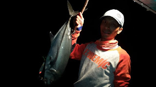 mancing gt ukuran menengah di padang