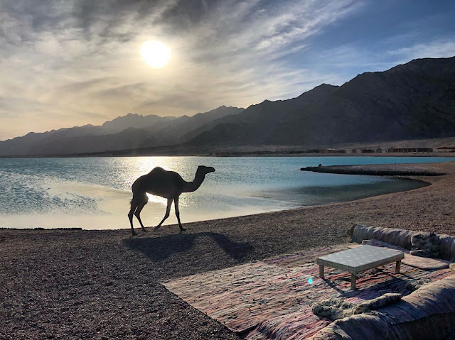 Dahab Tours and Excursions