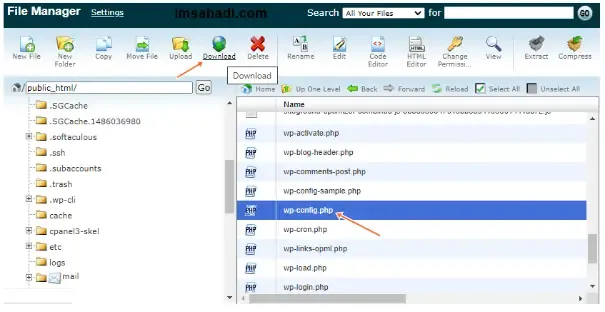 file wp config php