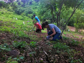 Reforestación Cerro Tecana Nueva Acrópolis Santa Ana