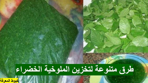 طرق متنوعة لتخزين الملوخية الخضراء