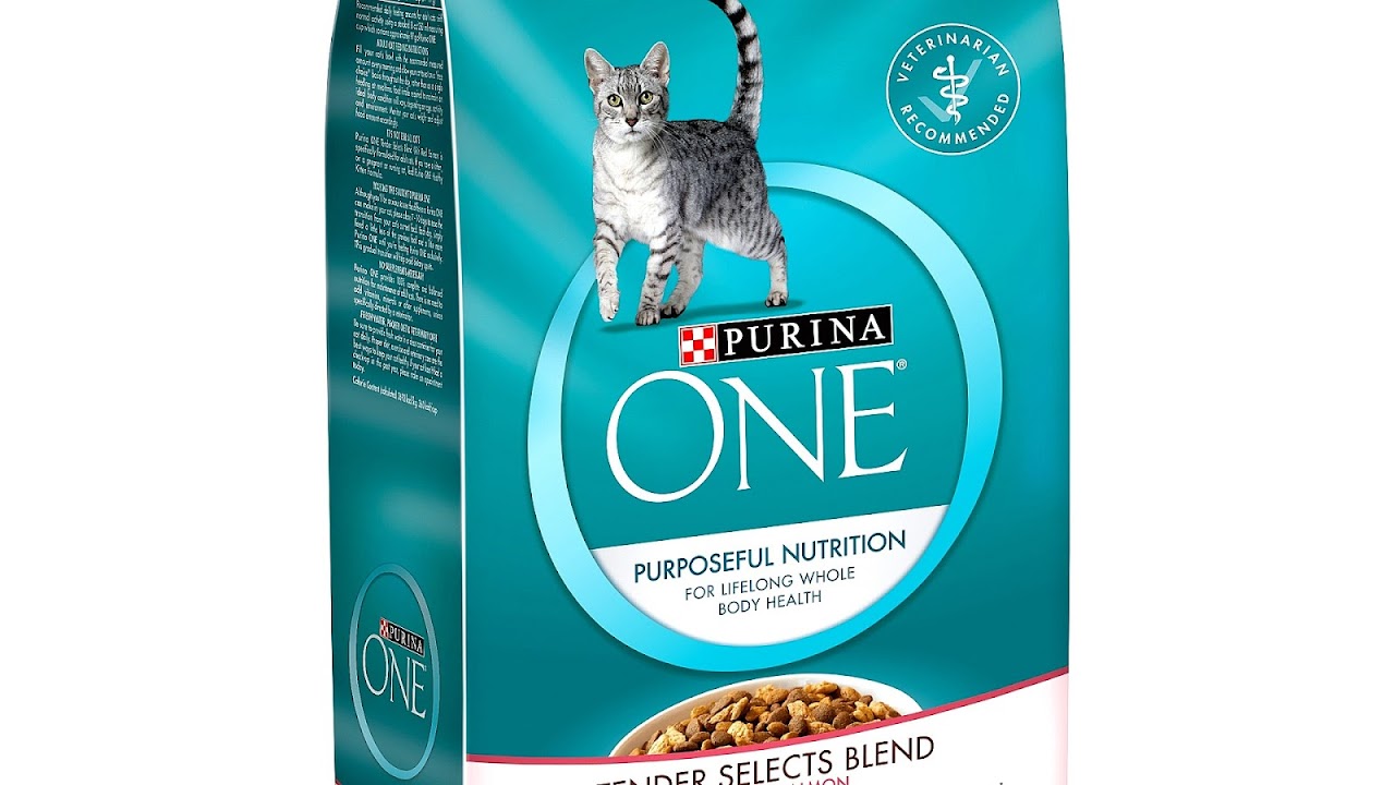 Types Of Cat Food Brands