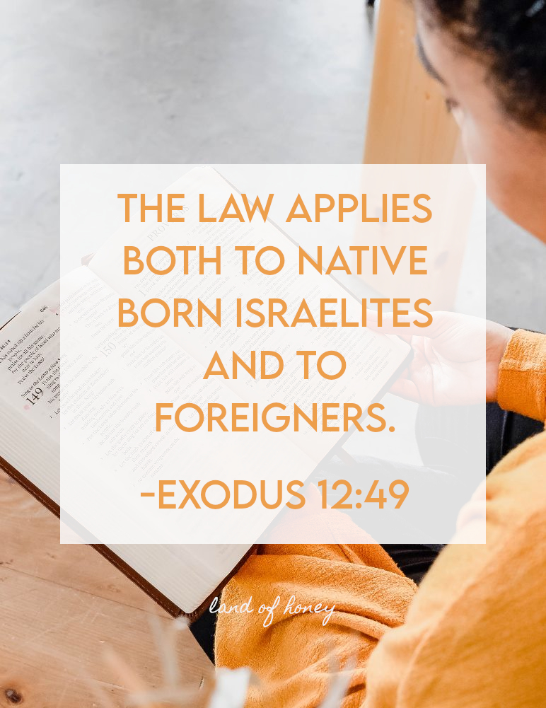 Biblical law applies both to native born Israelites and to foreigners. -Exodus 12:49 | Land of Honey