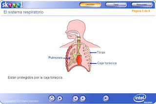  La respiración