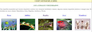 www.ceiploreto.es/sugerencias/averroes/ceip_san_rafael/vertebrados/animales.html