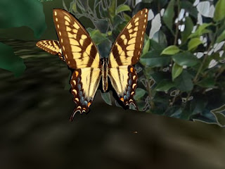 second life animals - butterfly