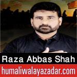 https://www.humaliwalayazadar.com/2012/11/raza-abbas-shah-nohay-2001-2013.html