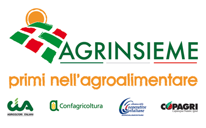 Agrinsieme: Grano duro, con DM per ripartizione fondo si vanno finalmente a dare risposte concrete al comparto