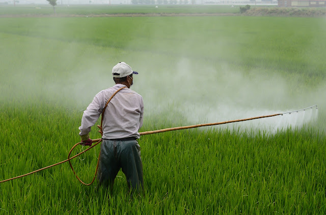 The Impact of Pesticide Use on the Environment: Balancing Agriculture and Ecology