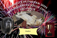 Avalon's Cool Award for MangoMinster