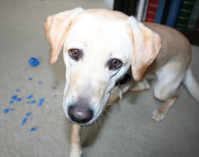 up-close shot of Cabana's face as she walks away from a pile of little blue rubber pieces