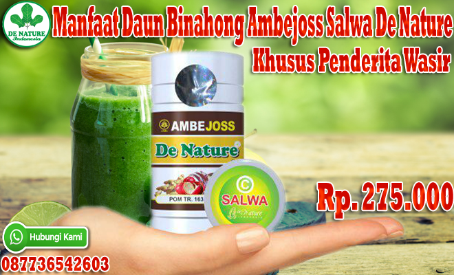 Obat Alami Untuk Wasir Atau Ambeien