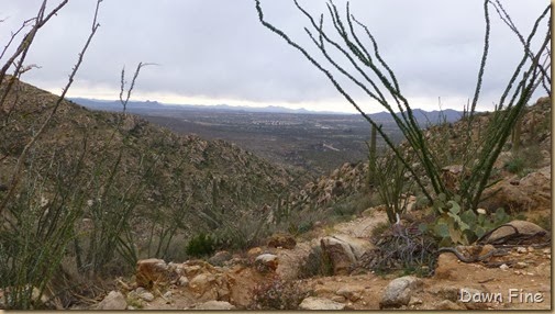 Romero pools hike_059