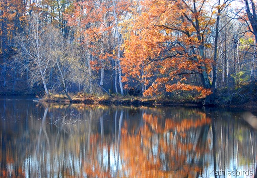 3. Kennebec backwater-kab