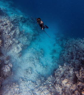 Diver with a spear gun below the ocean