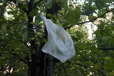 Rwanda is the Promised Land of No Plastic Bags