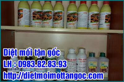 Diệt trừ mối tận gốc tại tphcm