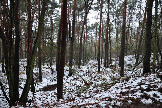 grodzisko wczesnośredniowieczne - wielka wieś/krąplewo