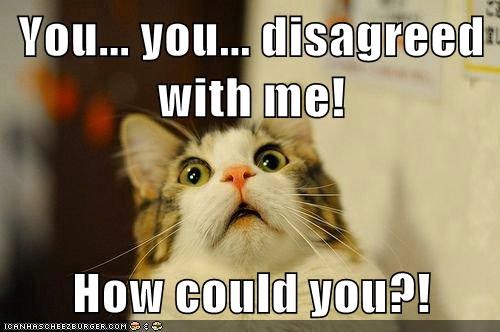 Meme: shocked cat says, "You disagreed with me. How could you?"