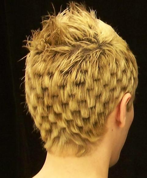 crazy hairstyles 2011