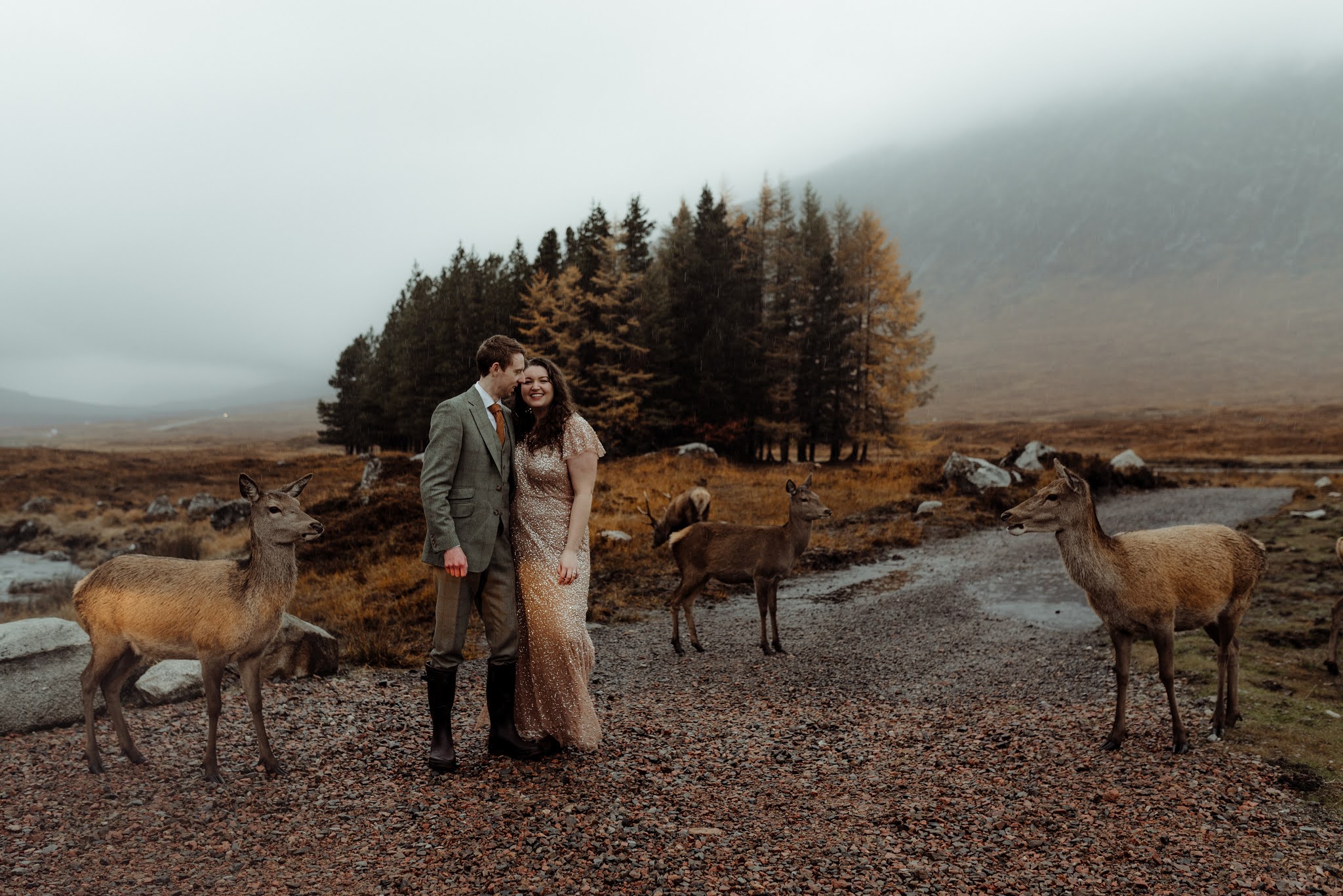 Our Wedding Photos Glencoe Elopement Edit liquid grain