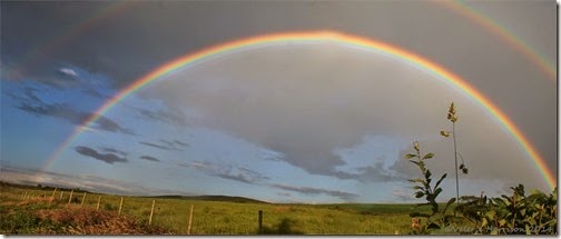 rainbow