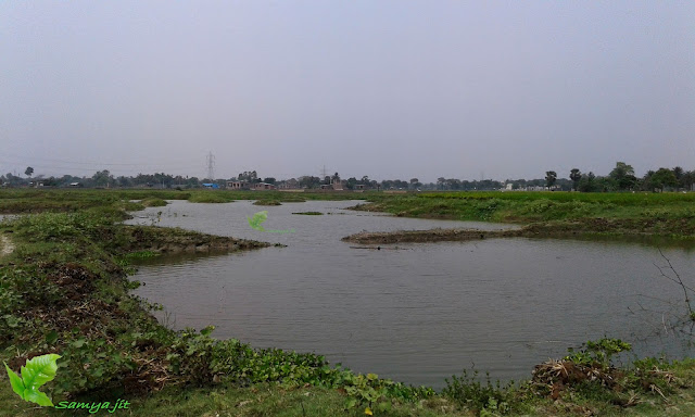 habitat of southern west bengal(India)