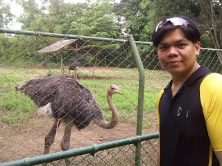 Wildlife Rescue and Conservation Center Puerto Princesa City Palawan Philippines
