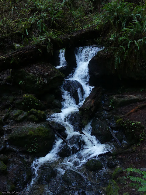 tumbling water