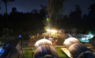 Malabar Forest Camp