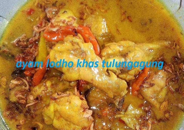 Resep Ayam Lodho Khas Tulungagung Jatim Dari Agistha