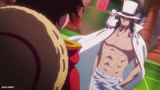 ワンピース アニメ 1110話 ルッチ ONE PIECE Episode 1110