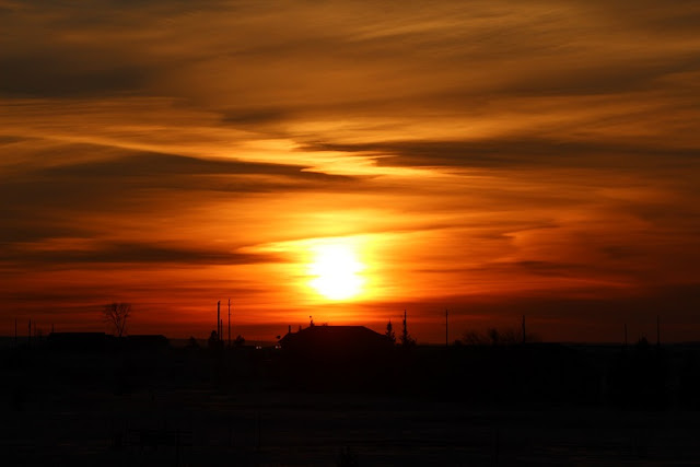 Beautiful orange sunset