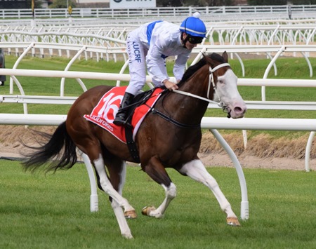 race 3_miss vista 1