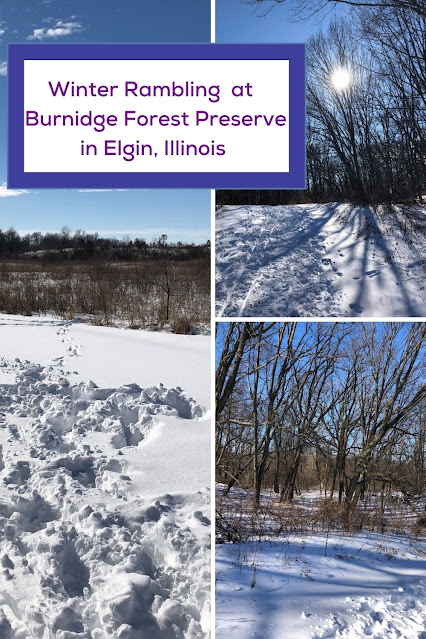 Winter Rambling Through a Tranquil Landscape at Elgin, Illinois's Burnidge Forest Preserve