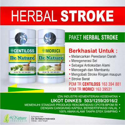 OBAT PENYAKIT STROKE