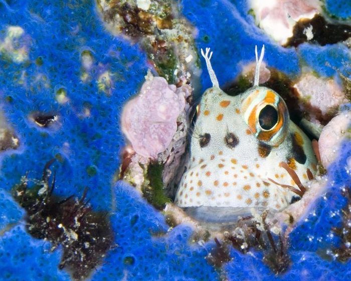 Hot Fresh Pics: Beautiful Sea Creatures