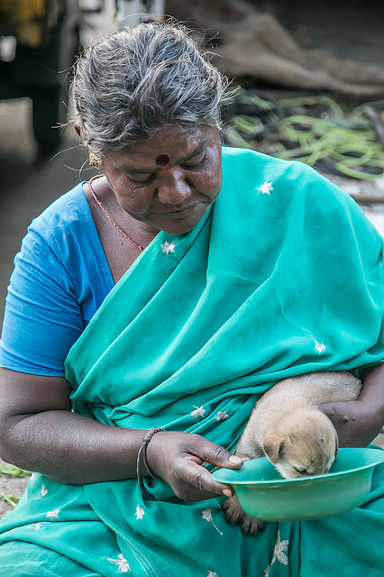 woman bangalore kr market dog pups