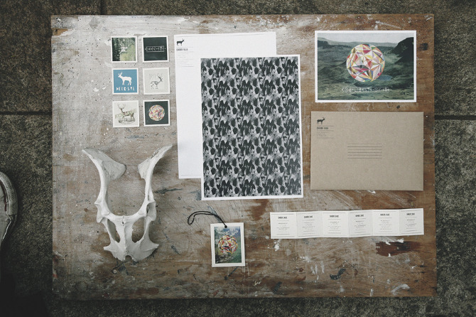 identity | deer sue