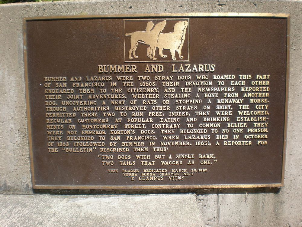 A plaque commemorating the dogs Bummer and Lazarus in Transamerica Redwood Park in San Francisco.