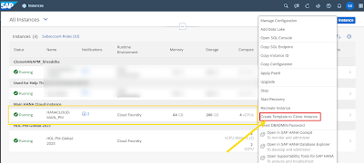 Clone SAP HANA Database Instance via Template based cloning