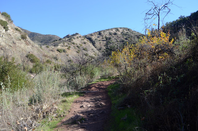 trail in a small canyon